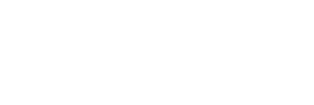 Stopa
